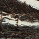 Image for article titled You Will Not Believe What This Huge Mural Is Actually Made of